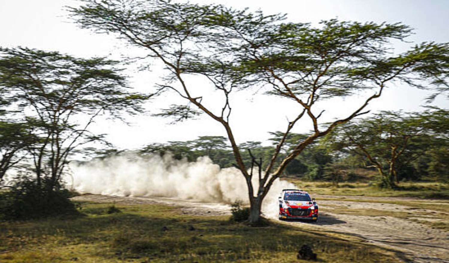 WRC – Neuville Extends Lead On Safari Rally Kenya